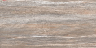 Плитка AltaCera Esprit Wood WT9ESR21 (24,9x50)
